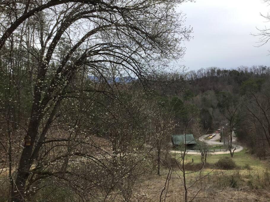 Dollywood-Brand New Dancing Bear 4 Βίλα Pigeon Forge Εξωτερικό φωτογραφία